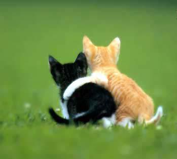 on se serre l&eacute; coudes!!!!!!!!!!